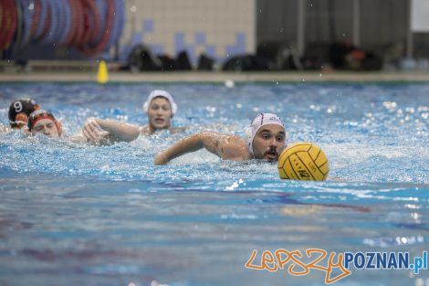 box Logistics Waterpolo Poznań –KSZO Ostrowiec Waterpolo  Foto: lepszyPOZNAN.pl/Ewelina Jaśkowiak