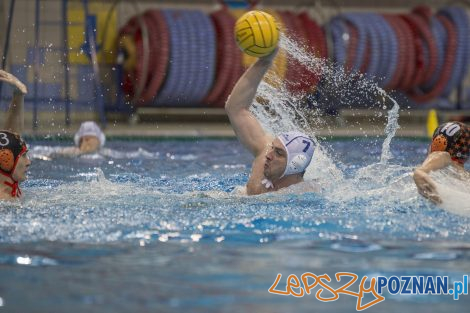 box Logistics Waterpolo Poznań –KSZO Ostrowiec Waterpolo  Foto: lepszyPOZNAN.pl/Ewelina Jaśkowiak