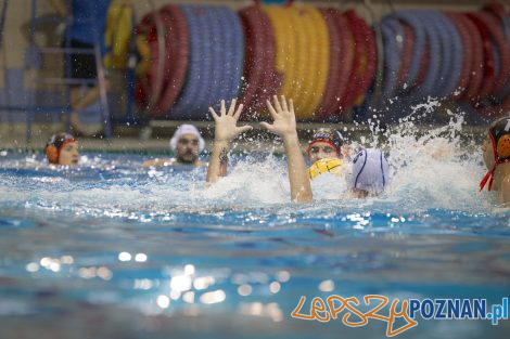 box Logistics Waterpolo Poznań –KSZO Ostrowiec Waterpolo  Foto: lepszyPOZNAN.pl/Ewelina Jaśkowiak