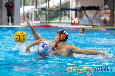 Box Logistics Waterpolo Poznań - KSZO Ostrowiec Świętokrzyski  Foto: lepszyPOZNAN.pl/Piotr Rychter