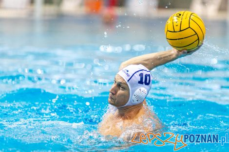 Box Logistics Waterpolo Poznań - KSZO Ostrowiec Świętokrzyski  Foto: lepszyPOZNAN.pl/Piotr Rychter