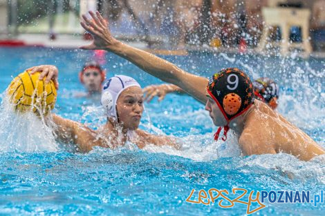 Box Logistics Waterpolo Poznań - KSZO Ostrowiec Świętokrzyski  Foto: lepszyPOZNAN.pl/Piotr Rychter