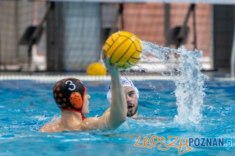 Box Logistics Waterpolo Poznań - KSZO Ostrowiec Świętokrzyski  Foto: lepszyPOZNAN.pl/Piotr Rychter