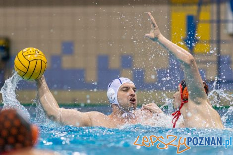 Box Logistics Waterpolo Poznań - KSZO Ostrowiec Świętokrzyski  Foto: lepszyPOZNAN.pl/Piotr Rychter