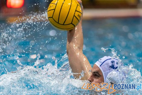 Box Logistics Waterpolo Poznań - KSZO Ostrowiec Świętokrzyski  Foto: lepszyPOZNAN.pl/Piotr Rychter