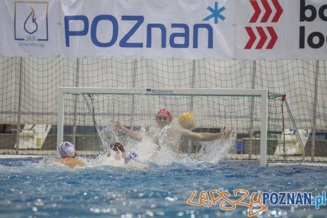 box Logistics Waterpolo Poznań –KSZO Ostrowiec Waterpolo  Foto: lepszyPOZNAN.pl/Ewelina Jaśkowiak