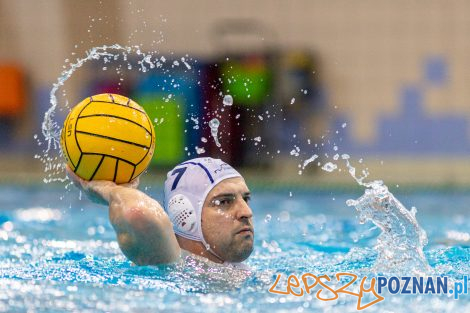 Box Logistics Waterpolo Poznań - KSZO Ostrowiec Świętokrzyski  Foto: lepszyPOZNAN.pl/Piotr Rychter