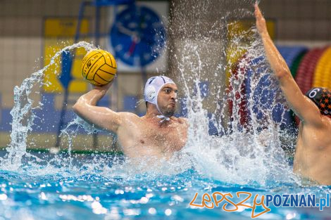 Box Logistics Waterpolo Poznań - KSZO Ostrowiec Świętokrzyski  Foto: lepszyPOZNAN.pl/Piotr Rychter