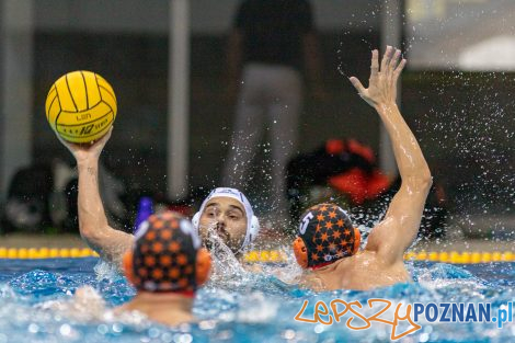 Box Logistics Waterpolo Poznań - KSZO Ostrowiec Świętokrzyski  Foto: lepszyPOZNAN.pl/Piotr Rychter