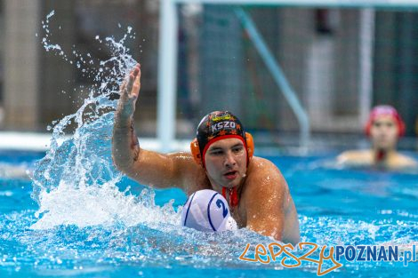 Box Logistics Waterpolo Poznań - KSZO Ostrowiec Świętokrzyski  Foto: lepszyPOZNAN.pl/Piotr Rychter