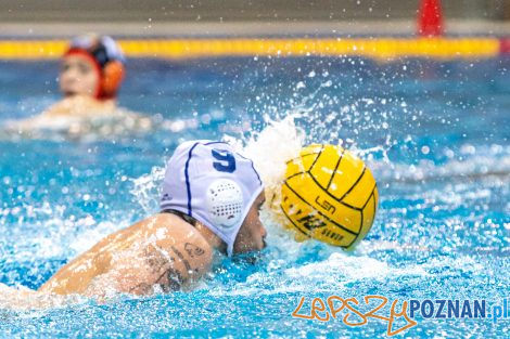 Box Logistics Waterpolo Poznań - KSZO Ostrowiec Świętokrzyski  Foto: lepszyPOZNAN.pl/Piotr Rychter