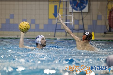 box Logistics Waterpolo Poznań –KSZO Ostrowiec Waterpolo  Foto: lepszyPOZNAN.pl/Ewelina Jaśkowiak