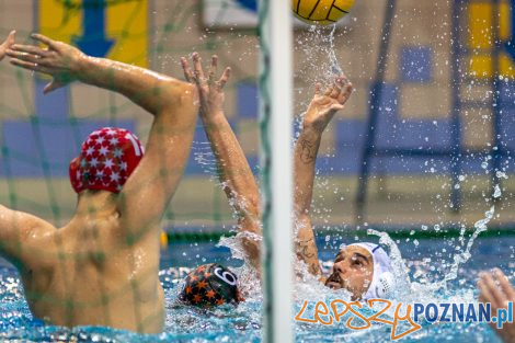 Box Logistics Waterpolo Poznań - KSZO Ostrowiec Świętokrzyski  Foto: lepszyPOZNAN.pl/Piotr Rychter