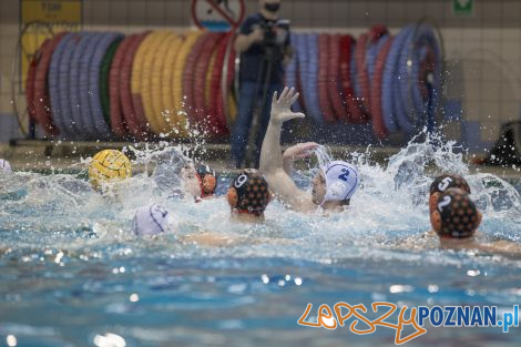 box Logistics Waterpolo Poznań –KSZO Ostrowiec Waterpolo  Foto: lepszyPOZNAN.pl/Ewelina Jaśkowiak