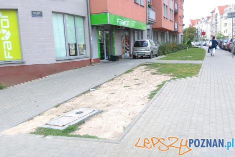 Szyperska klepisko dziki parking (1)  Foto: 