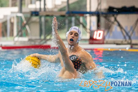 Box Logistics Waterpolo Poznań - KSZO Ostrowiec Świętokrzyski  Foto: lepszyPOZNAN.pl/Piotr Rychter