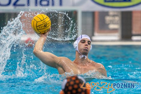 Box Logistics Waterpolo Poznań - KSZO Ostrowiec Świętokrzyski  Foto: lepszyPOZNAN.pl/Piotr Rychter