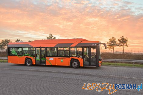 7a2qKK  Foto: Maciej Sznek