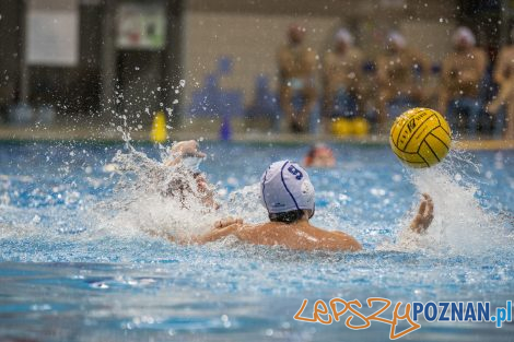 box Logistics Waterpolo Poznań –KSZO Ostrowiec Waterpolo  Foto: lepszyPOZNAN.pl/Ewelina Jaśkowiak