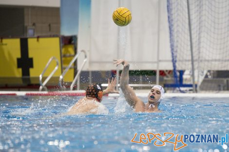 box Logistics Waterpolo Poznań –KSZO Ostrowiec Waterpolo  Foto: lepszyPOZNAN.pl/Ewelina Jaśkowiak