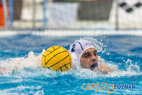 Box Logistics Waterpolo Poznań - KSZO Ostrowiec Świętokrzyski  Foto: lepszyPOZNAN.pl/Piotr Rychter