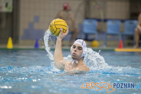 box Logistics Waterpolo Poznań –KSZO Ostrowiec Waterpolo  Foto: lepszyPOZNAN.pl/Ewelina Jaśkowiak