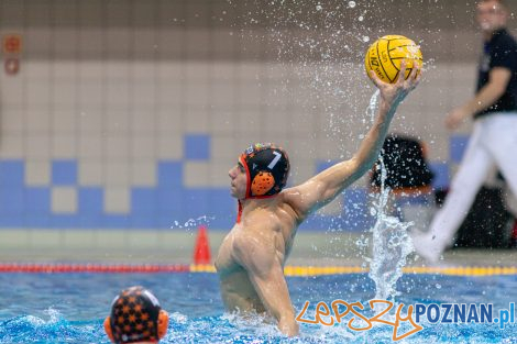 Box Logistics Waterpolo Poznań - KSZO Ostrowiec Świętokrzyski  Foto: lepszyPOZNAN.pl/Piotr Rychter