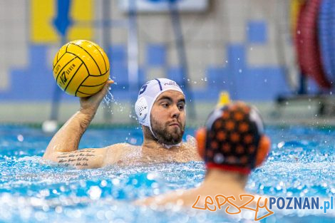 Box Logistics Waterpolo Poznań - KSZO Ostrowiec Świętokrzyski  Foto: lepszyPOZNAN.pl/Piotr Rychter