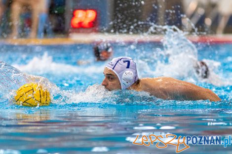 Box Logistics Waterpolo Poznań - KSZO Ostrowiec Świętokrzyski  Foto: lepszyPOZNAN.pl/Piotr Rychter