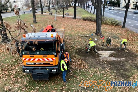 Schron szczelina przeciwlotnicza - Park Wieniawskiego  Foto: Zarząd Zieleni Miejskiej / fb