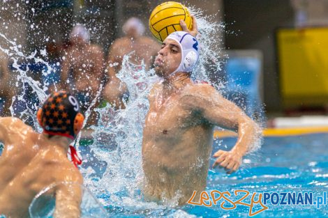 Box Logistics Waterpolo Poznań - KSZO Ostrowiec Świętokrzyski  Foto: lepszyPOZNAN.pl/Piotr Rychter