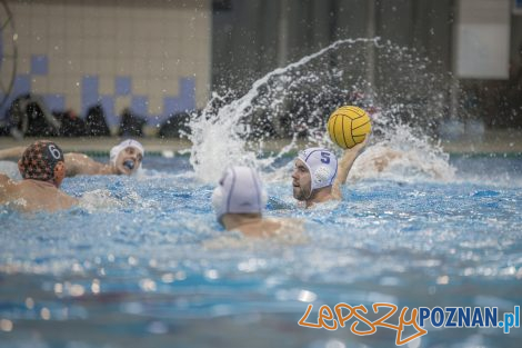 box Logistics Waterpolo Poznań –KSZO Ostrowiec Waterpolo  Foto: lepszyPOZNAN.pl/Ewelina Jaśkowiak