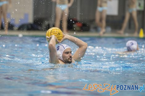 box Logistics Waterpolo Poznań –KSZO Ostrowiec Waterpolo  Foto: lepszyPOZNAN.pl/Ewelina Jaśkowiak