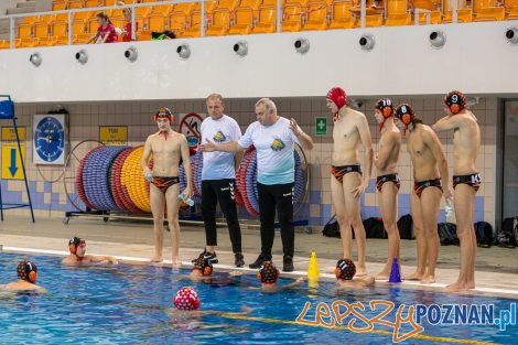 Box Logistics Waterpolo Poznań - KSZO Ostrowiec Świętokrzyski  Foto: lepszyPOZNAN.pl/Piotr Rychter