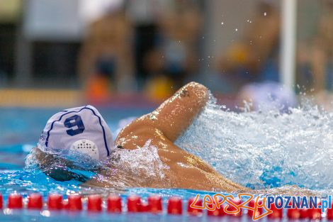 Box Logistics Waterpolo Poznań - KSZO Ostrowiec Świętokrzyski  Foto: lepszyPOZNAN.pl/Piotr Rychter