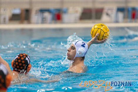 Box Logistics Waterpolo Poznań - KSZO Ostrowiec Świętokrzyski  Foto: lepszyPOZNAN.pl/Piotr Rychter