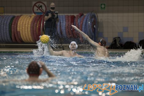 box Logistics Waterpolo Poznań –KSZO Ostrowiec Waterpolo  Foto: lepszyPOZNAN.pl/Ewelina Jaśkowiak