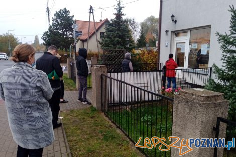 Kolejka po rogale świętomarcińskie - cukiernia Junikowska  Foto: lepszyPOZNAN.pl/Piotr Rychter