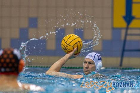 Box Logistics Waterpolo Poznań - KSZO Ostrowiec Świętokrzyski  Foto: lepszyPOZNAN.pl/Piotr Rychter