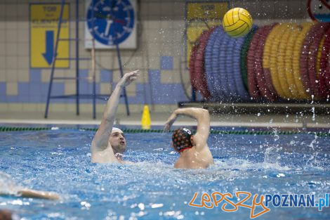 box Logistics Waterpolo Poznań –KSZO Ostrowiec Waterpolo  Foto: lepszyPOZNAN.pl/Ewelina Jaśkowiak