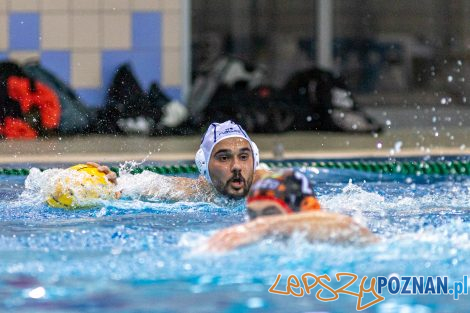 Box Logistics Waterpolo Poznań - KSZO Ostrowiec Świętokrzyski  Foto: lepszyPOZNAN.pl/Piotr Rychter