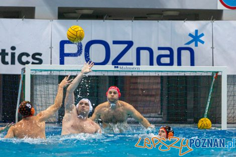 Box Logistics Waterpolo Poznań - KSZO Ostrowiec Świętokrzyski  Foto: lepszyPOZNAN.pl/Piotr Rychter