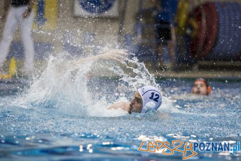 box Logistics Waterpolo Poznań –KSZO Ostrowiec Waterpolo  Foto: lepszyPOZNAN.pl/Ewelina Jaśkowiak