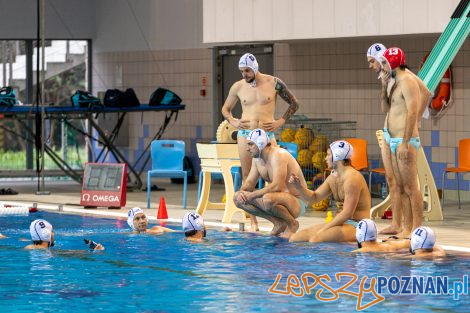 Box Logistics Waterpolo Poznań - KSZO Ostrowiec Świętokrzyski  Foto: lepszyPOZNAN.pl/Piotr Rychter