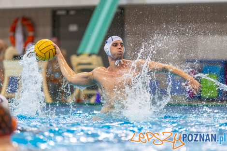 Box Logistics Waterpolo Poznań - KSZO Ostrowiec Świętokrzyski  Foto: lepszyPOZNAN.pl/Piotr Rychter