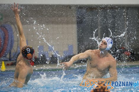 box Logistics Waterpolo Poznań –KSZO Ostrowiec Waterpolo  Foto: lepszyPOZNAN.pl/Ewelina Jaśkowiak