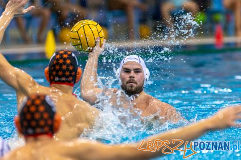 Box Logistics Waterpolo Poznań - KSZO Ostrowiec Świętokrzyski  Foto: lepszyPOZNAN.pl/Piotr Rychter