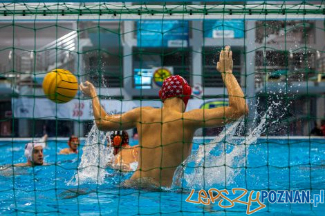 Box Logistics Waterpolo Poznań - KSZO Ostrowiec Świętokrzyski  Foto: lepszyPOZNAN.pl/Piotr Rychter