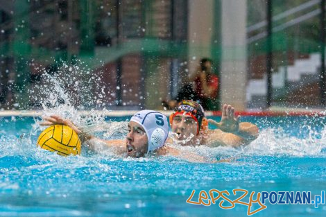 Box Logistics Waterpolo Poznań - KSZO Ostrowiec Świętokrzyski  Foto: lepszyPOZNAN.pl/Piotr Rychter