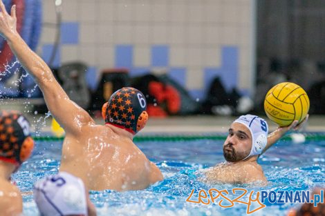 Box Logistics Waterpolo Poznań - KSZO Ostrowiec Świętokrzyski  Foto: lepszyPOZNAN.pl/Piotr Rychter